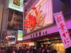-蟹道乐(道顿堀本店)