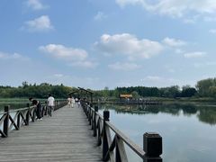 -溱湖国家湿地公园