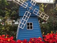 -南宫五洲植物乐园