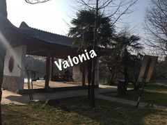 -紫霞湖公园