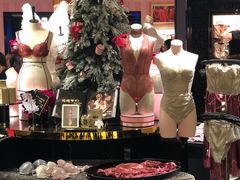 -Victoria's Secret(苏州中心全品类店)