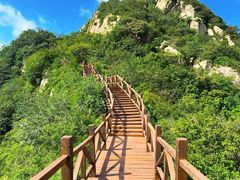 -大岭沟猕猴桃谷风景区