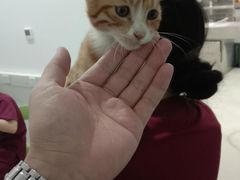 -北京恒爱动物医院(清景园分院)