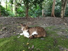 -苏州河梦清园环保主题公园