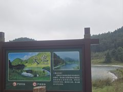 -武陵山森林公园
