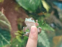 -上海大自然野生昆虫馆(东方明珠·爬宠昆虫探索中心)