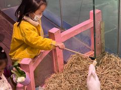 -正佳雨林生态植物园
