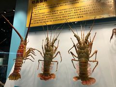 -天津自然博物馆