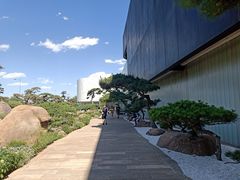 -罗红摄影艺术馆