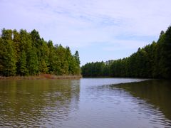 -上海海湾国家森林公园