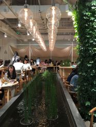 点击看大图 -悦诗风吟innisfree