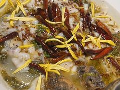 -太二酸菜鱼(沈阳万象城店)