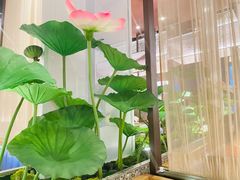 -新辣道鱼火锅(上地华联店)