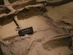 -洛阳周王城天子驾六博物馆