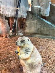 -Zoolung Zoolung动物主题公园(海信广场店)