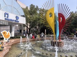 -上海交通大学医学院附属上海儿童医学中心(陆家嘴总院区)