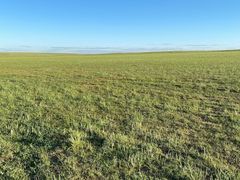 -哈啾嗨蒙古娃娃主题餐厅(巴彦塔拉店)