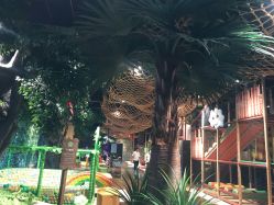 -奇幻丛林(佛罗伦萨小镇店)