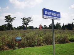 -同里国家湿地公园