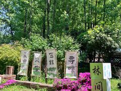 -林间山庄