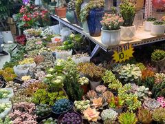 -三旗百汇商品城