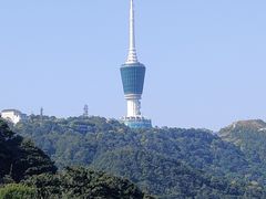 -梧桐山风景名胜区