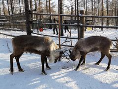 -北极村旅游风景区