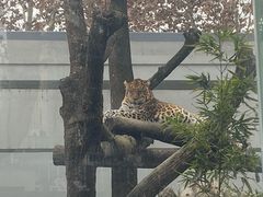 -成都动物园