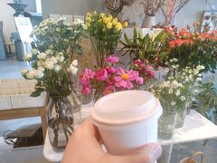 -dotcom coffee古点咖啡(致真大厦店)
