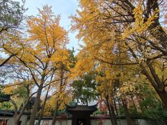 -郑和公园