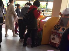 -东湖公园游乐场