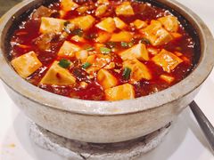 牛腩烧豆腐-真爱中国餐馆·年华店(朱雀大街店)