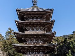-醍醐寺