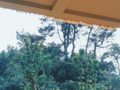 -宁波野生动物园