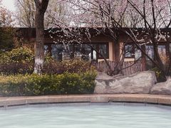 -大连金石滩绿发温泉假日酒店
