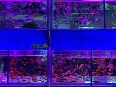 -三旗百汇商品城