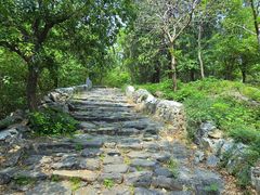 -阳台山自然风景区