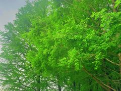 -滆湖低碳生态公园