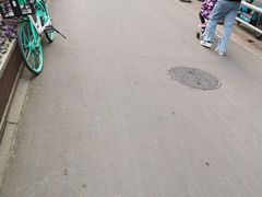 -油旋张(大观园店)