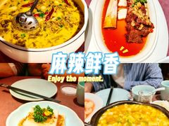 -羲和雅苑•北京烤鸭(乐园道万象城店)