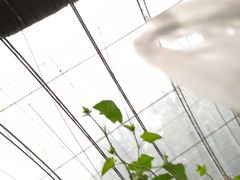 -万源龙顺度假庄园生态观光园