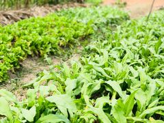 -邹记·美食(斗门店)