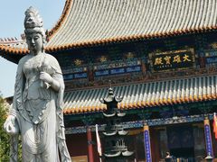 -大槐树寻根祭祖园