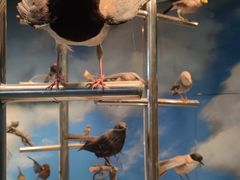 -吉林省自然博物馆