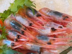 -樱桃日本料理