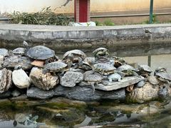 -红螺寺
