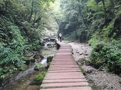 -青城山