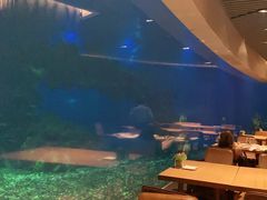 -海棠湾洲际-涛·海底餐厅·美人鱼·自助餐·海底隧道