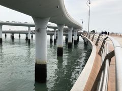 -演武大桥观景平台