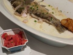-顺峰(农展馆店)